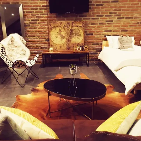 Le Loft Apartament Aulnay-sous-Bois